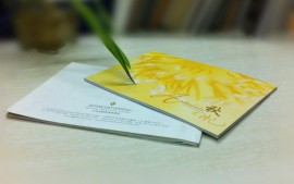 精美畫(huà)冊(cè)系列